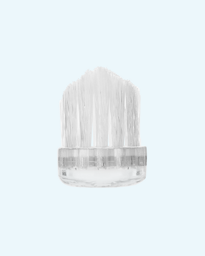 new generation toothbrushes duo